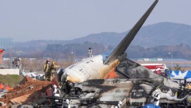 South Korea Plane Crash 179 passengers died