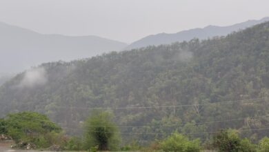 IMG 20250510 WA0004