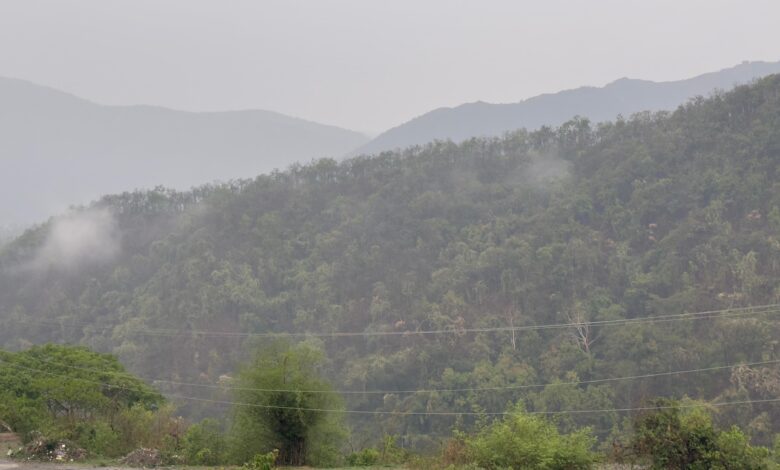 उत्तराखंड में अगले दो घंटे में तेज बारिश, ओलावृष्टि और आंधी की चेतावनी — देहरादून, पौड़ी, टिहरी में अलर्ट 1 IMG 20250510 WA0004