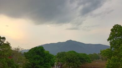 IMG 20250504 183647737 HDR